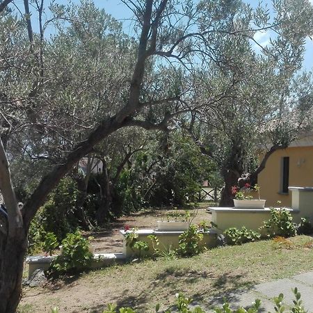 Tenuta Agrituristica Castellesi Squillace Buitenkant foto